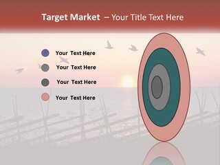 A Flock Of Birds Flying Over The Ocean At Sunset PowerPoint Template
