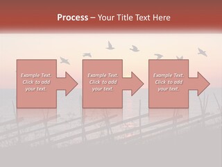 A Flock Of Birds Flying Over The Ocean At Sunset PowerPoint Template