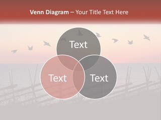 A Flock Of Birds Flying Over The Ocean At Sunset PowerPoint Template