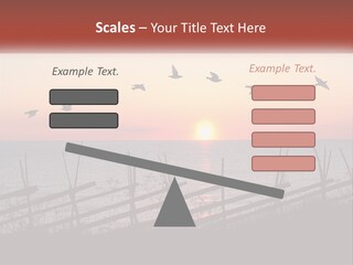 A Flock Of Birds Flying Over The Ocean At Sunset PowerPoint Template