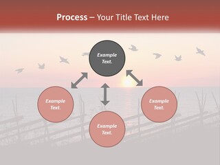 A Flock Of Birds Flying Over The Ocean At Sunset PowerPoint Template