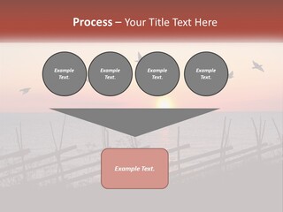 A Flock Of Birds Flying Over The Ocean At Sunset PowerPoint Template