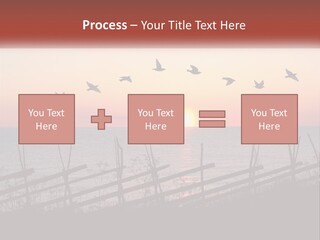 A Flock Of Birds Flying Over The Ocean At Sunset PowerPoint Template