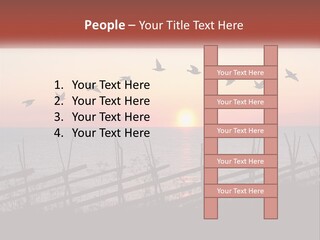 A Flock Of Birds Flying Over The Ocean At Sunset PowerPoint Template