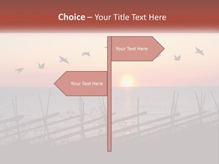 A Flock Of Birds Flying Over The Ocean At Sunset PowerPoint Template