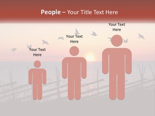 A Flock Of Birds Flying Over The Ocean At Sunset PowerPoint Template