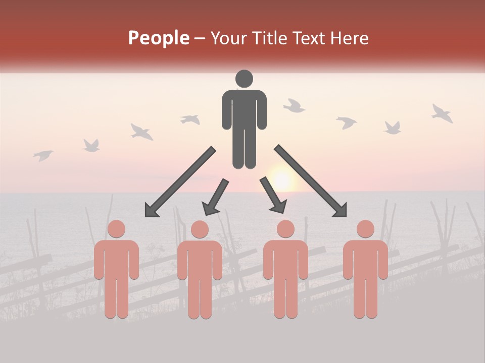 A Flock Of Birds Flying Over The Ocean At Sunset PowerPoint Template