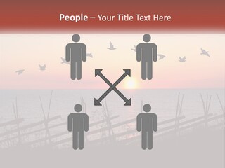 A Flock Of Birds Flying Over The Ocean At Sunset PowerPoint Template