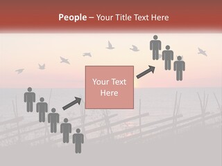 A Flock Of Birds Flying Over The Ocean At Sunset PowerPoint Template
