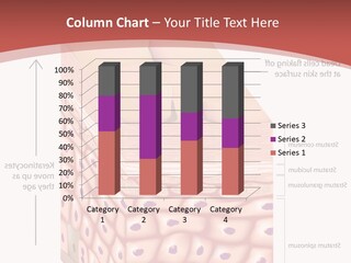 A Diagram Of The Structure Of The Skin PowerPoint Template