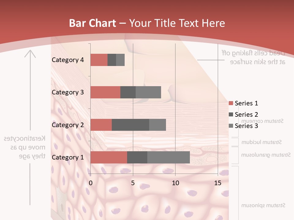 A Diagram Of The Structure Of The Skin PowerPoint Template