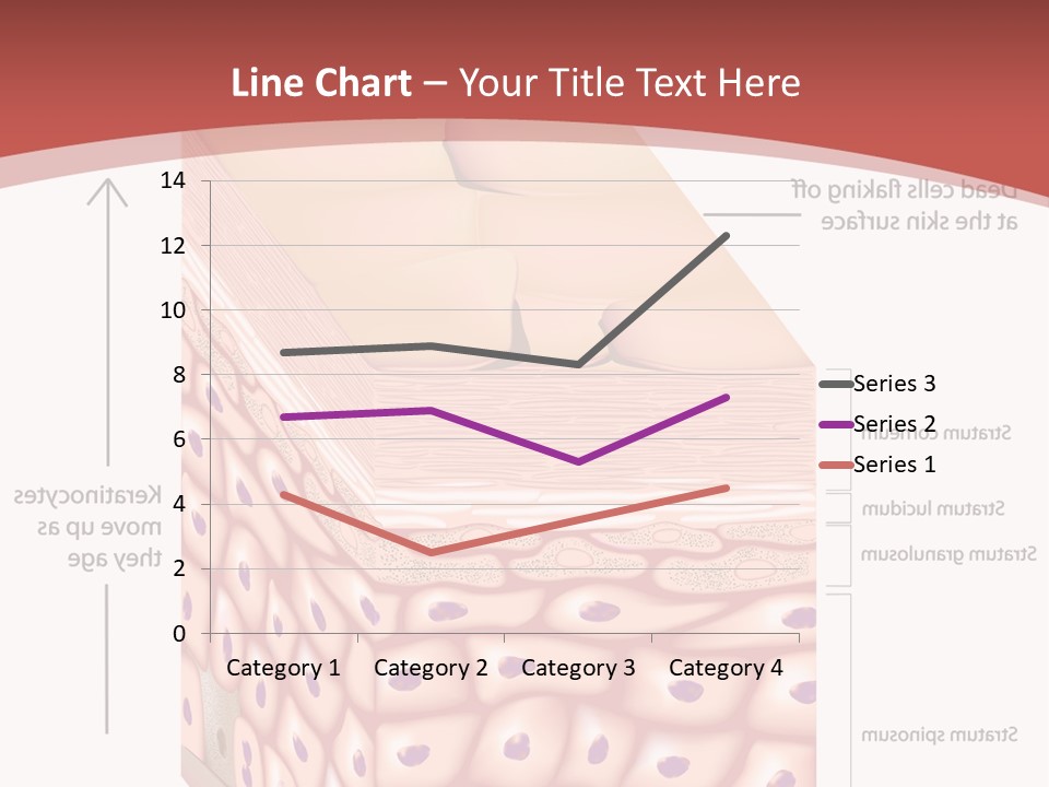 A Diagram Of The Structure Of The Skin PowerPoint Template