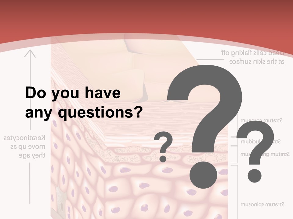 A Diagram Of The Structure Of The Skin PowerPoint Template