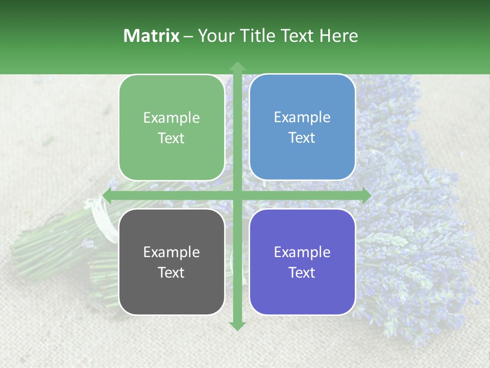 A Bunch Of Lavender Flowers Sitting On Top Of A Table PowerPoint Template