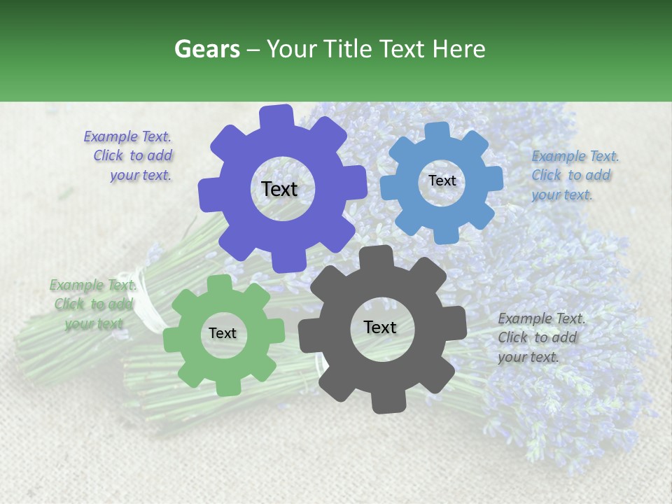 A Bunch Of Lavender Flowers Sitting On Top Of A Table PowerPoint Template