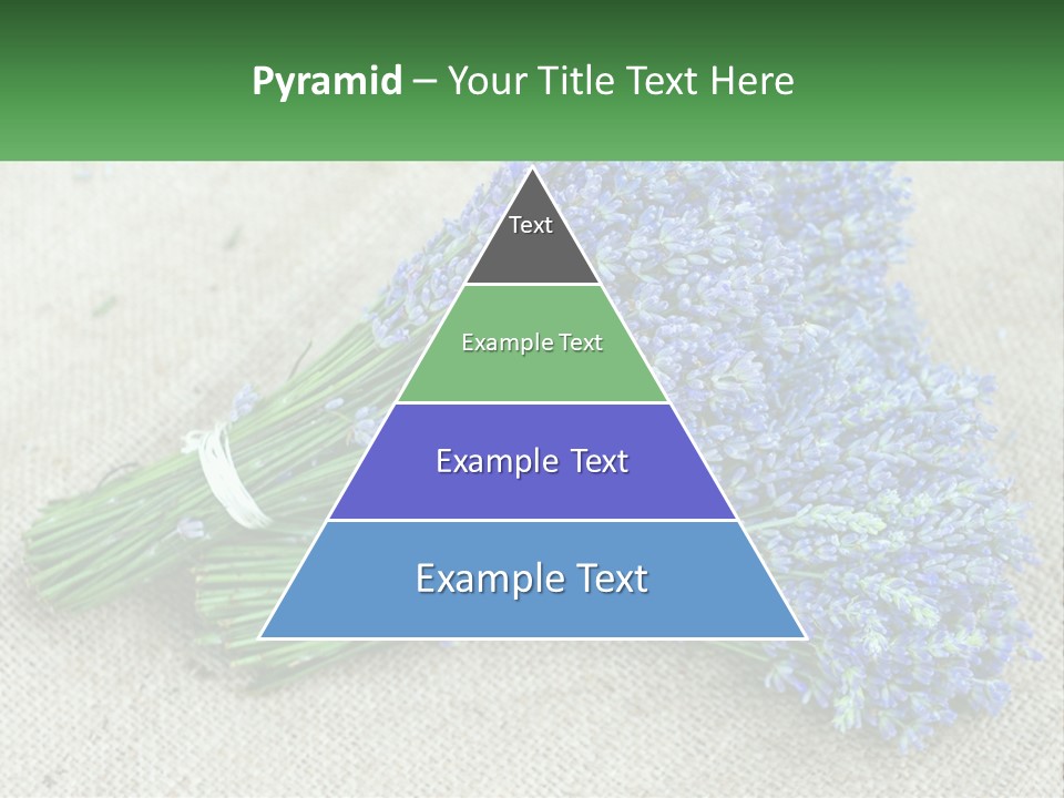 A Bunch Of Lavender Flowers Sitting On Top Of A Table PowerPoint Template