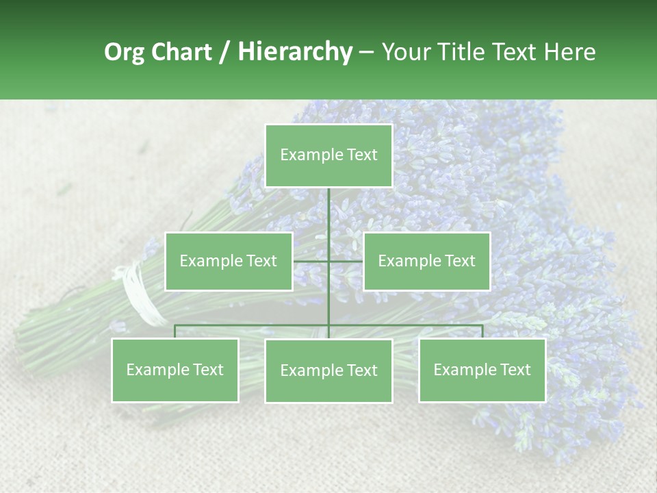 A Bunch Of Lavender Flowers Sitting On Top Of A Table PowerPoint Template