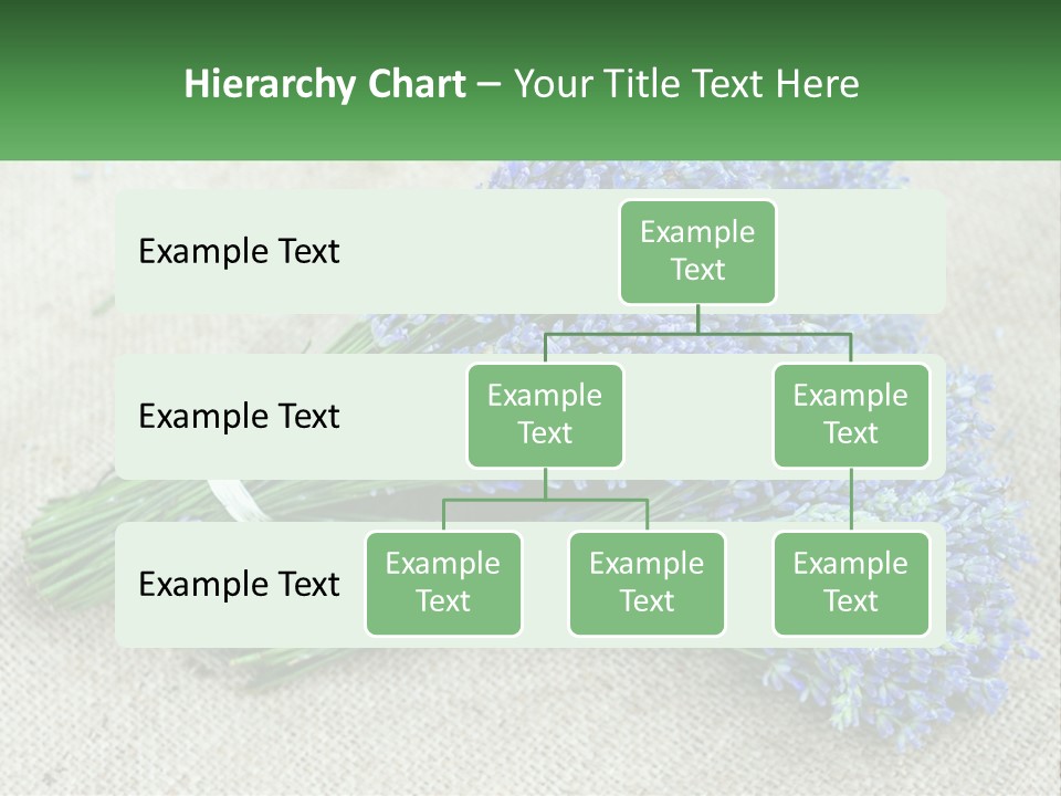 A Bunch Of Lavender Flowers Sitting On Top Of A Table PowerPoint Template