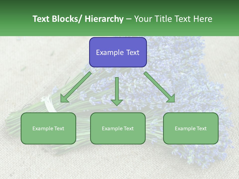 A Bunch Of Lavender Flowers Sitting On Top Of A Table PowerPoint Template