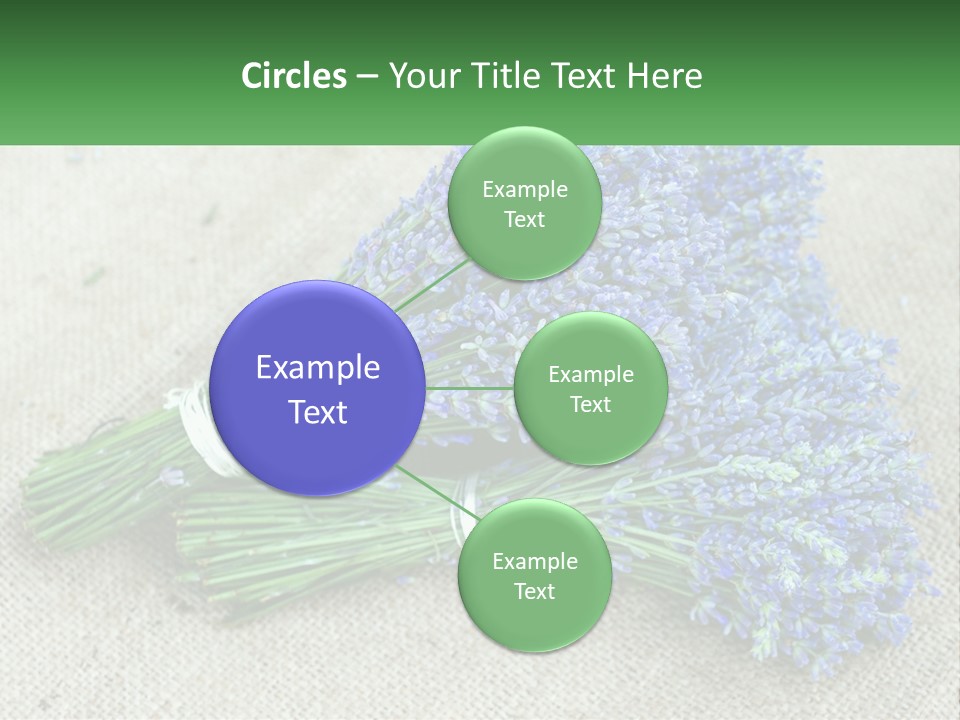 A Bunch Of Lavender Flowers Sitting On Top Of A Table PowerPoint Template