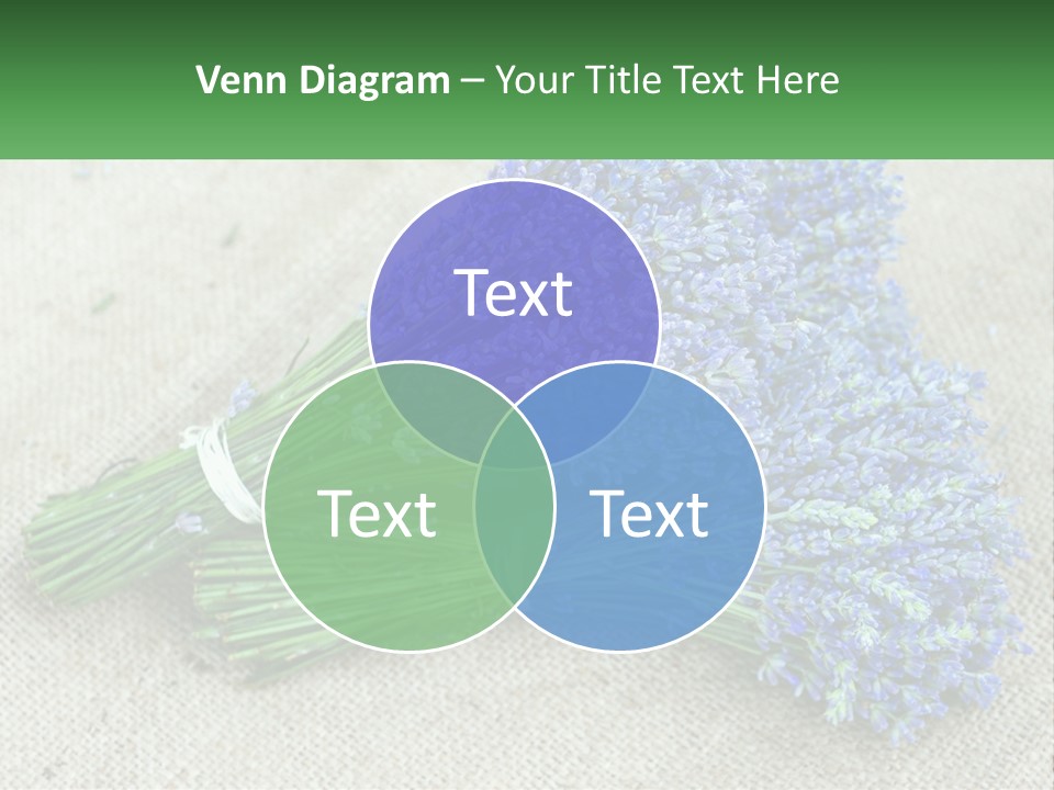 A Bunch Of Lavender Flowers Sitting On Top Of A Table PowerPoint Template