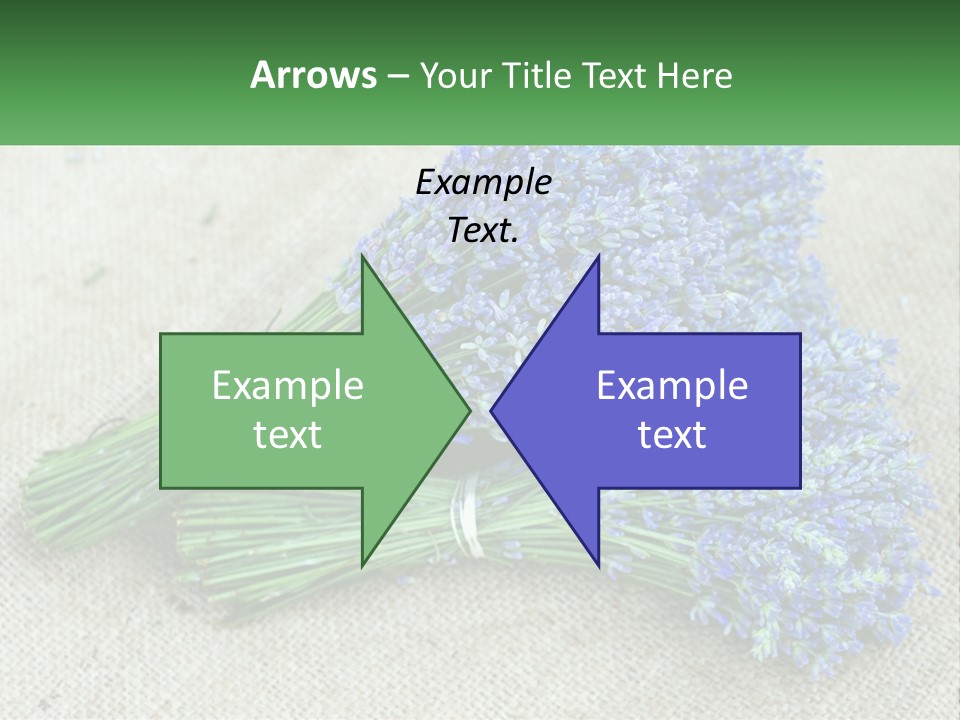 A Bunch Of Lavender Flowers Sitting On Top Of A Table PowerPoint Template