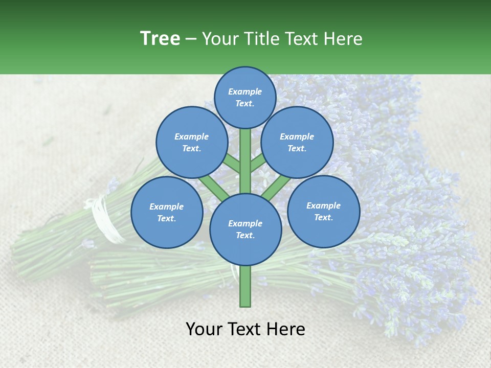 A Bunch Of Lavender Flowers Sitting On Top Of A Table PowerPoint Template