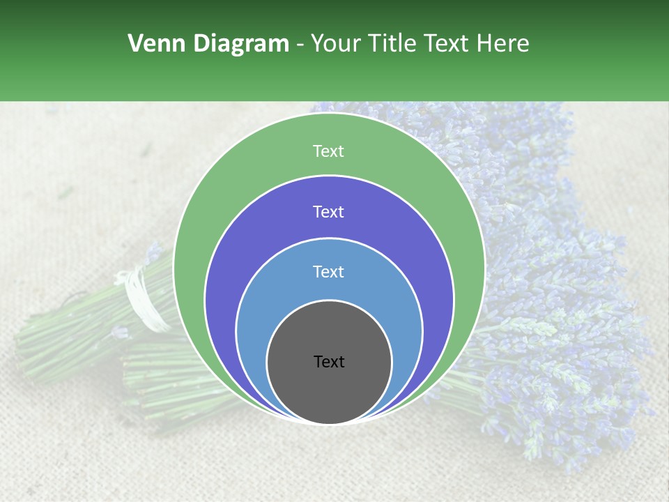 A Bunch Of Lavender Flowers Sitting On Top Of A Table PowerPoint Template