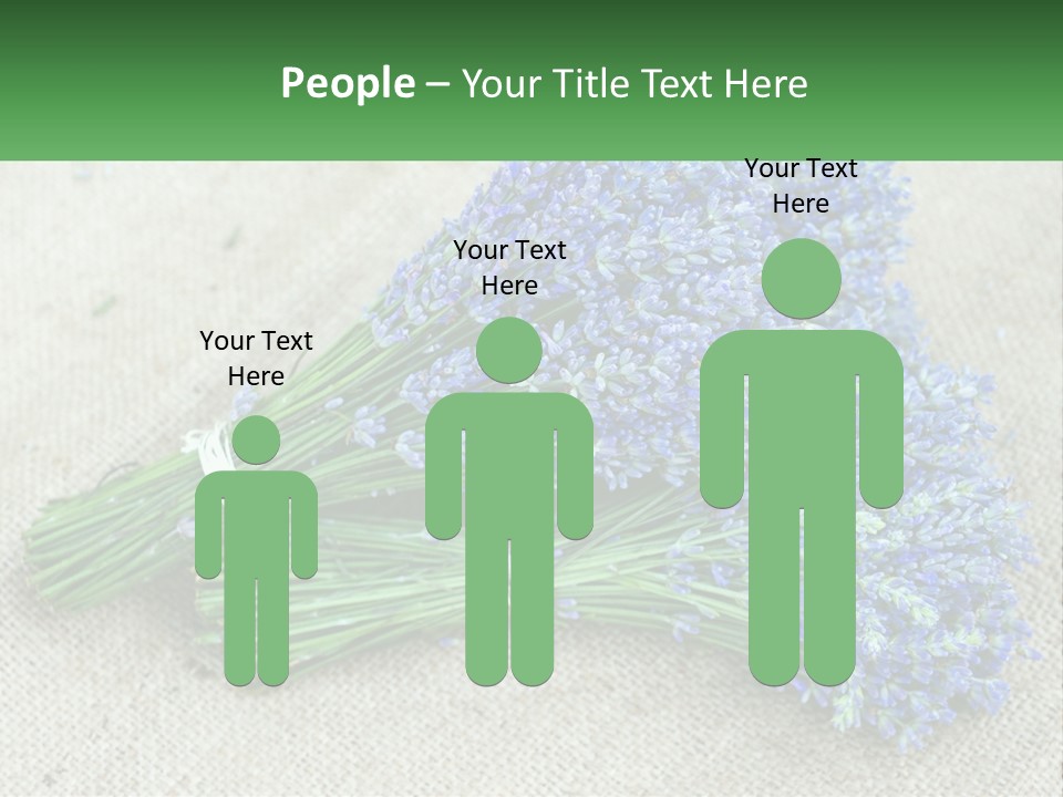 A Bunch Of Lavender Flowers Sitting On Top Of A Table PowerPoint Template