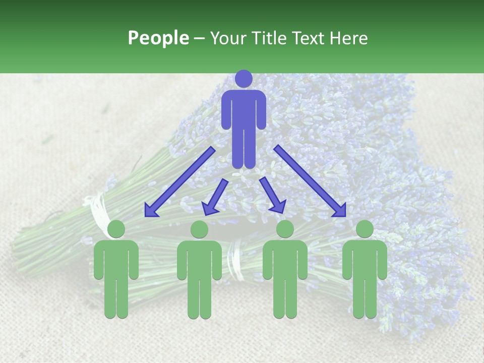 A Bunch Of Lavender Flowers Sitting On Top Of A Table PowerPoint Template