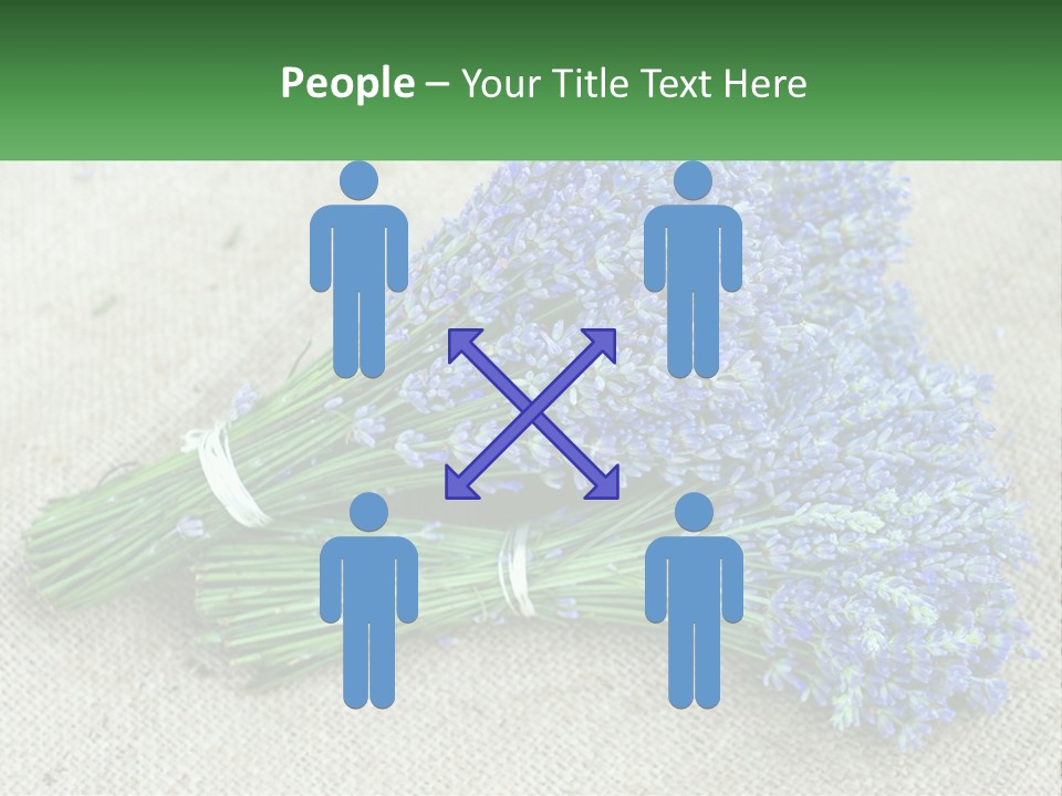 A Bunch Of Lavender Flowers Sitting On Top Of A Table PowerPoint Template