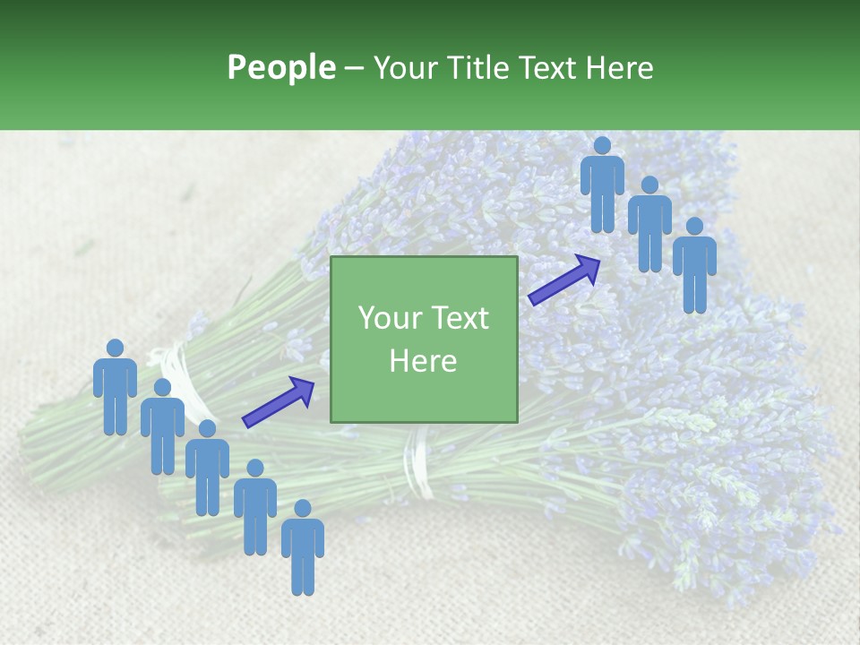 A Bunch Of Lavender Flowers Sitting On Top Of A Table PowerPoint Template