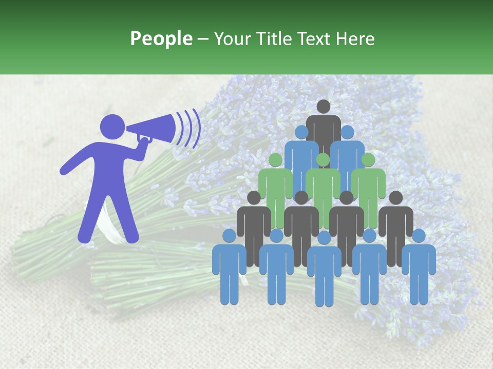 A Bunch Of Lavender Flowers Sitting On Top Of A Table PowerPoint Template