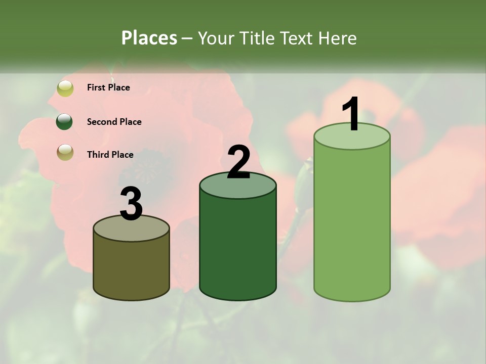 A Bunch Of Red Flowers In A Field PowerPoint Template