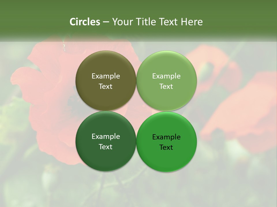 A Bunch Of Red Flowers In A Field PowerPoint Template