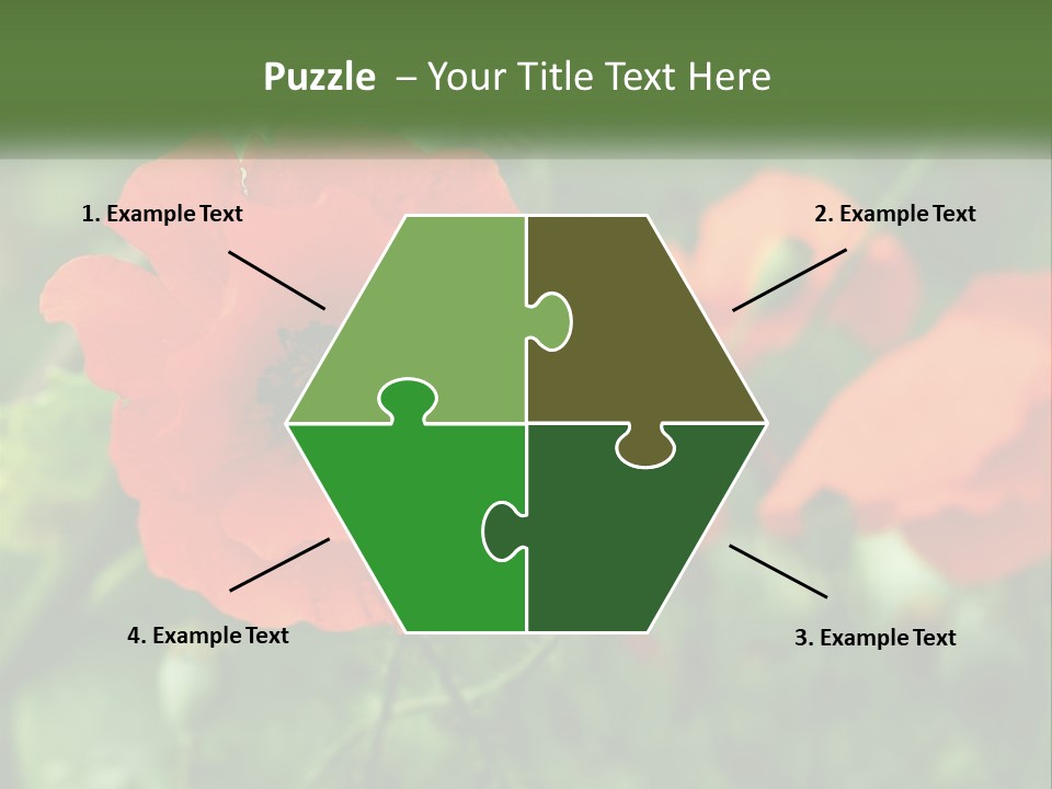 A Bunch Of Red Flowers In A Field PowerPoint Template