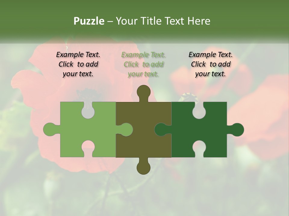 A Bunch Of Red Flowers In A Field PowerPoint Template