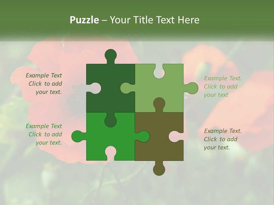 A Bunch Of Red Flowers In A Field PowerPoint Template