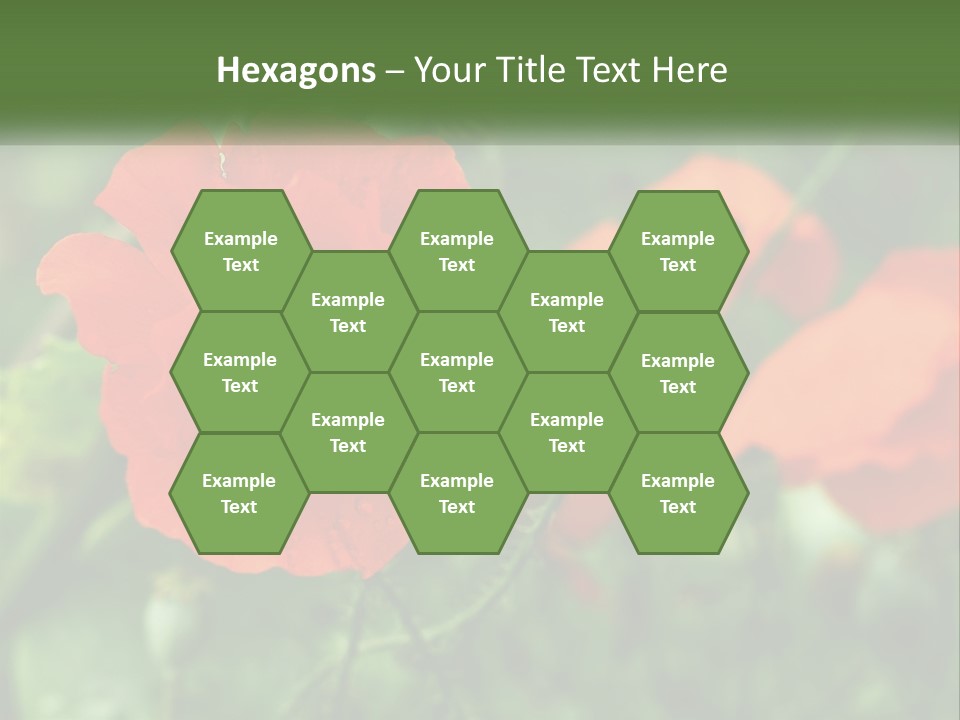 A Bunch Of Red Flowers In A Field PowerPoint Template