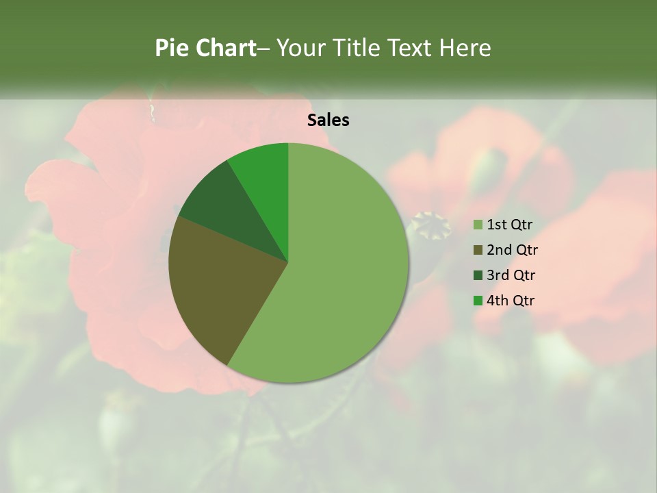 A Bunch Of Red Flowers In A Field PowerPoint Template