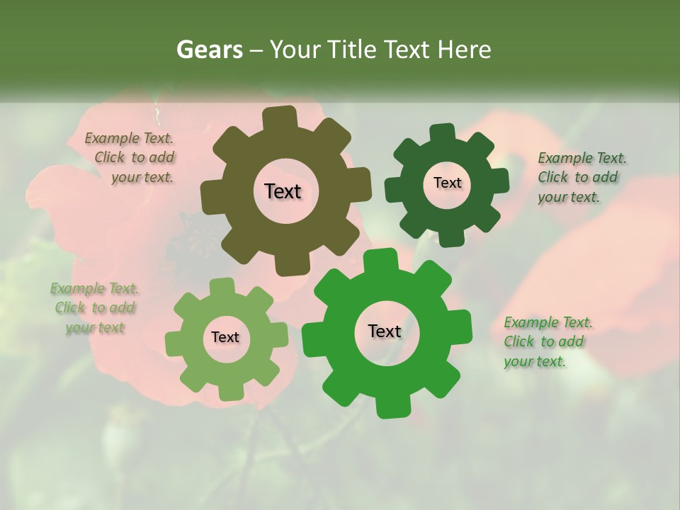 A Bunch Of Red Flowers In A Field PowerPoint Template