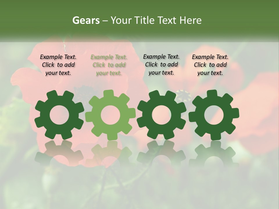 A Bunch Of Red Flowers In A Field PowerPoint Template