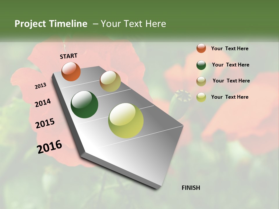 A Bunch Of Red Flowers In A Field PowerPoint Template