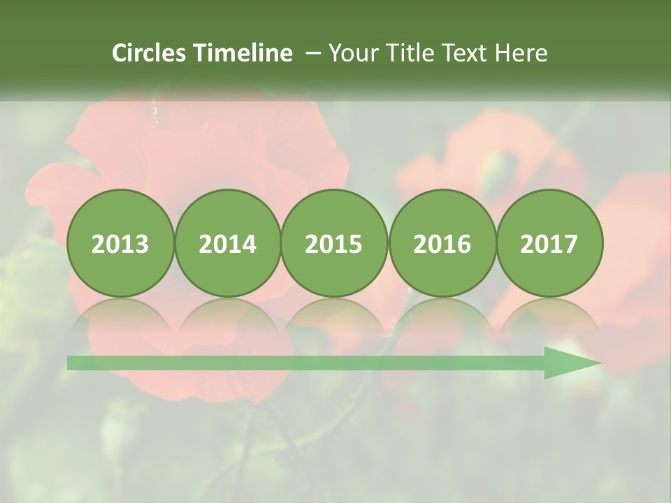 A Bunch Of Red Flowers In A Field PowerPoint Template