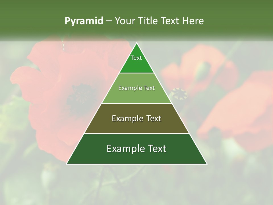 A Bunch Of Red Flowers In A Field PowerPoint Template