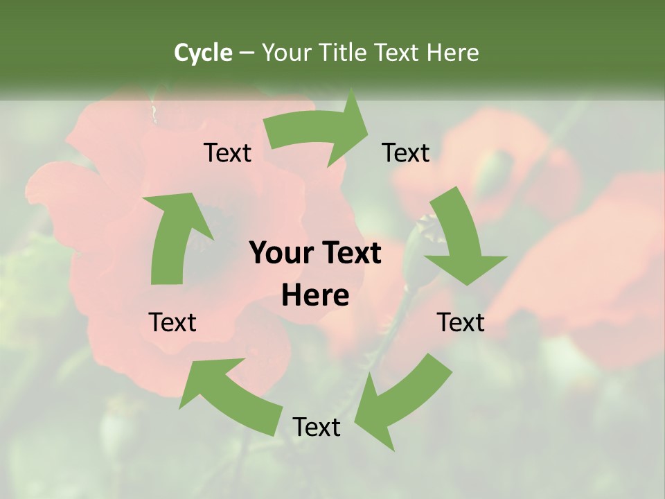 A Bunch Of Red Flowers In A Field PowerPoint Template