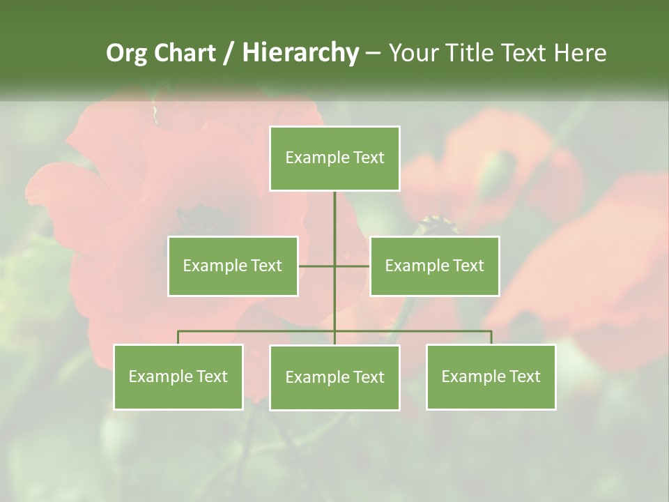 A Bunch Of Red Flowers In A Field PowerPoint Template