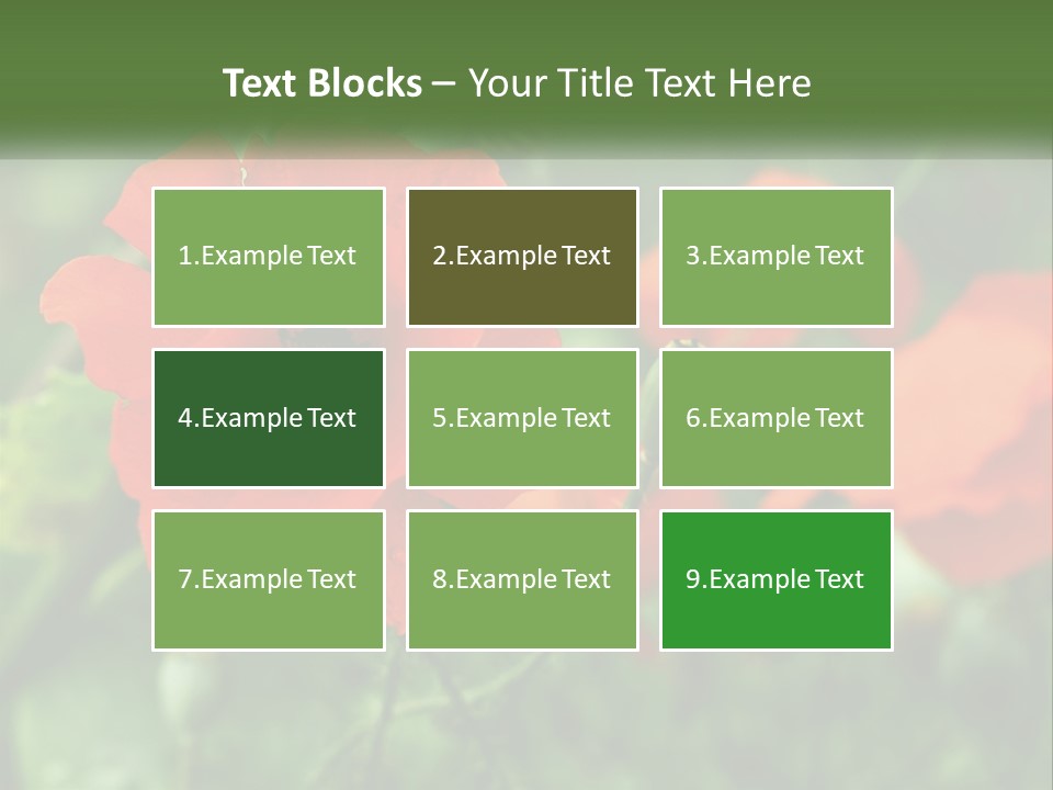 A Bunch Of Red Flowers In A Field PowerPoint Template