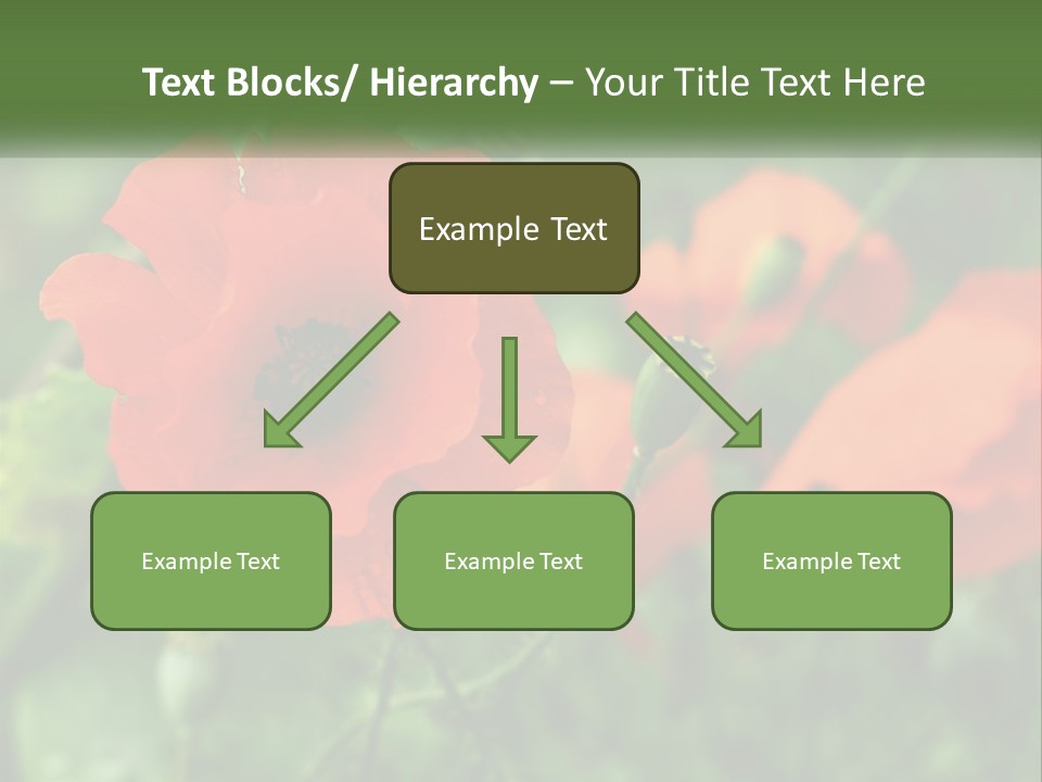 A Bunch Of Red Flowers In A Field PowerPoint Template