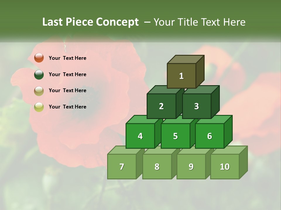 A Bunch Of Red Flowers In A Field PowerPoint Template